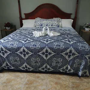 Destiny Palms Apartment Belleair